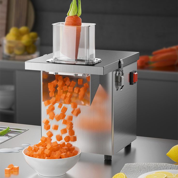 vegetable cutter machine manufacturer in india