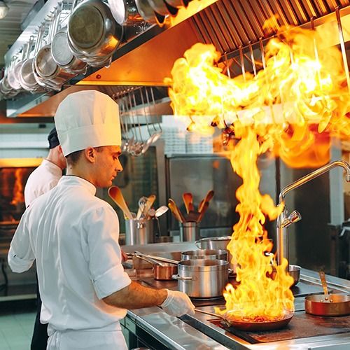 hood flame with guard filter manufacturer in india