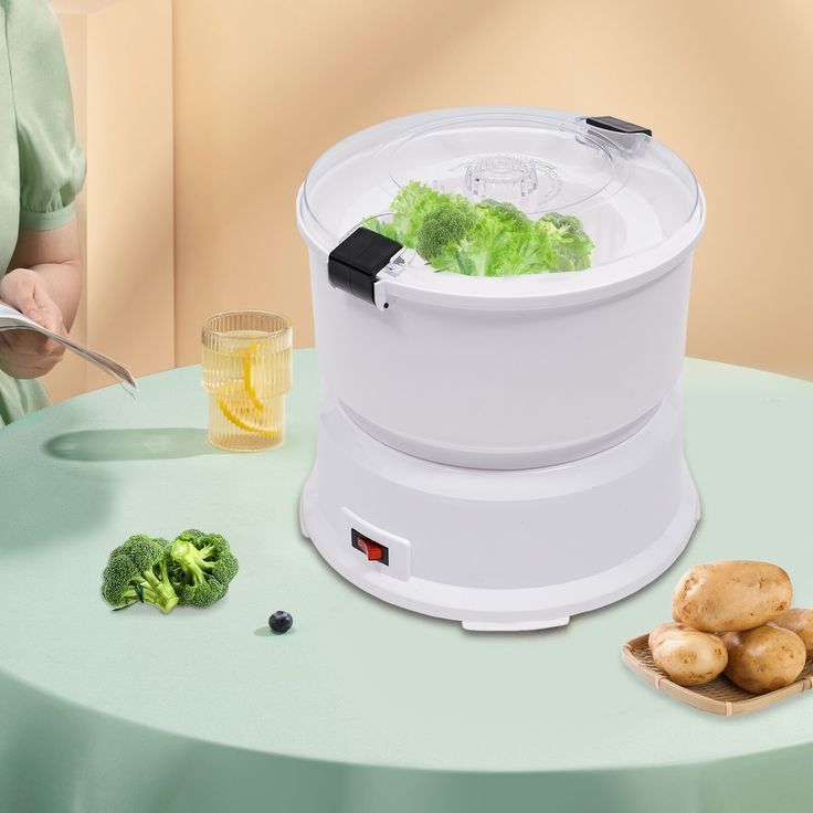 potato peeler manufacturer in india